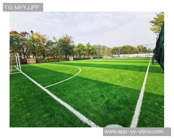 足球场的魅力与构造探秘让我们一起走进绿茵场的世界