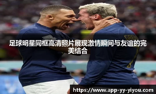 yy易游体育投注